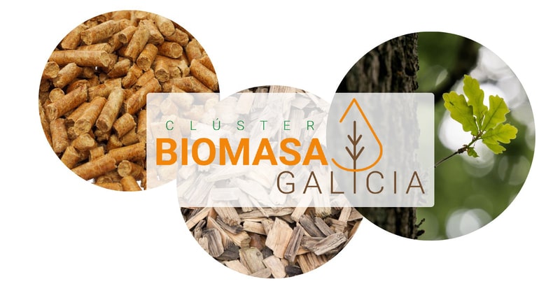 Cluster de biomasa de Galicia